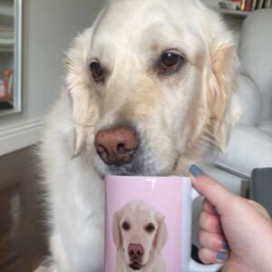 Personalised Dog Mugs Australia