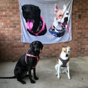 Custom Pet Fleece Blanket